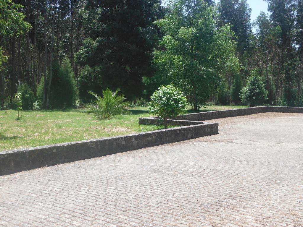 Hotel Alameda Albergaria-a-Velha Dış mekan fotoğraf