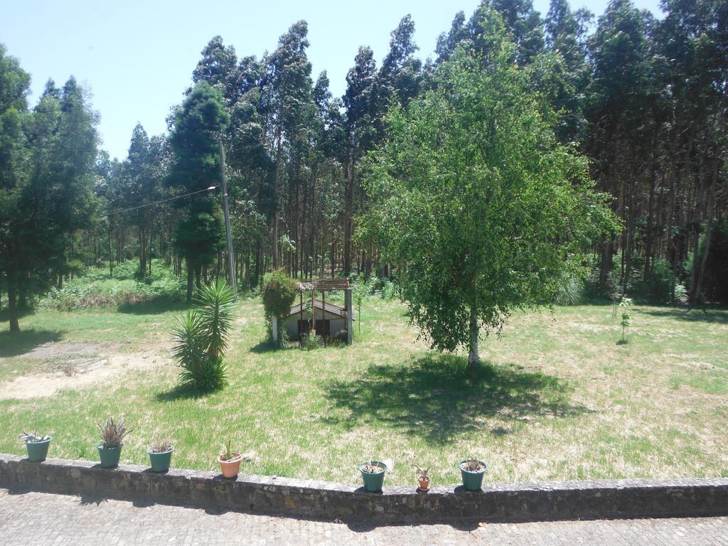 Hotel Alameda Albergaria-a-Velha Dış mekan fotoğraf